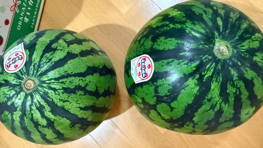 ふるさと納税で届いた山形の3Lのスイカ
